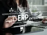 ERP-Beratung
